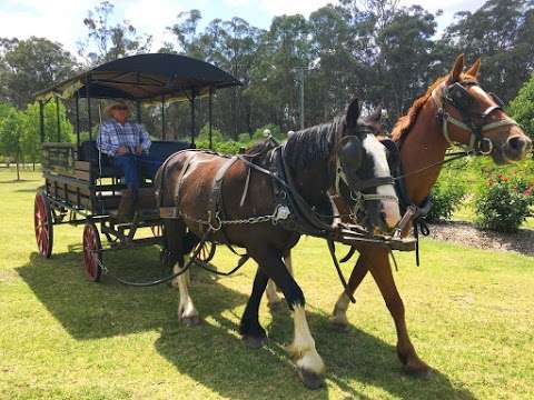 Photo: Hunter Valley Horses